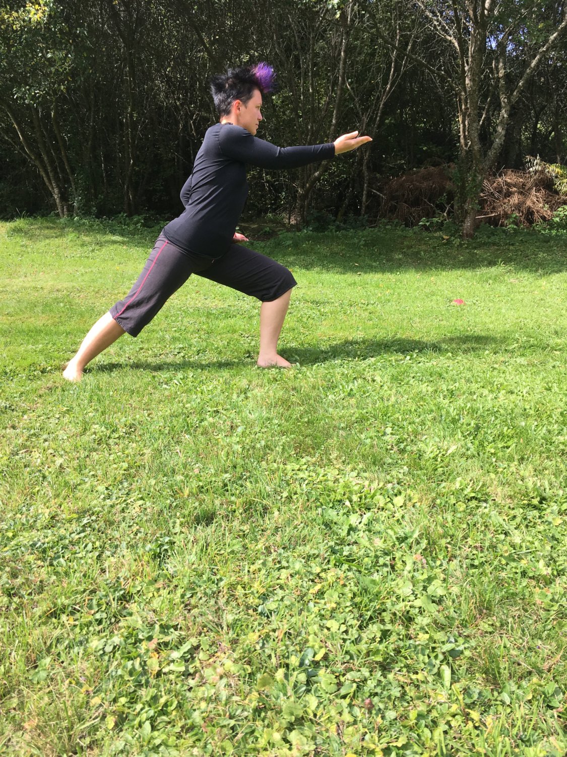 Kung Fu Bagua Zhang posture céleste du coq d'or