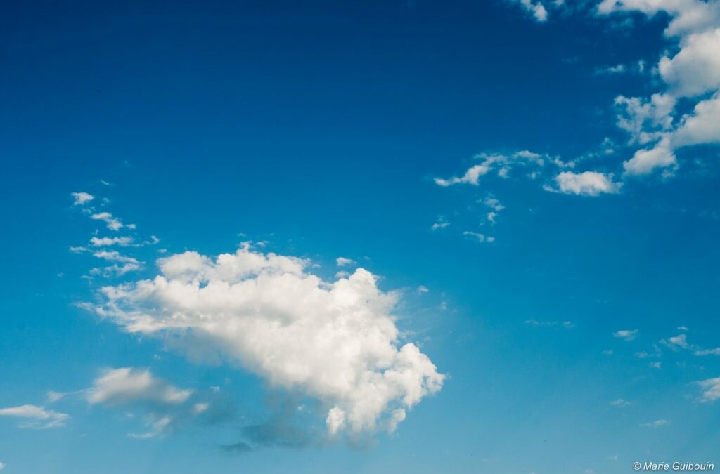 Défi Nature Jour 20 : la tête dans les nuages
