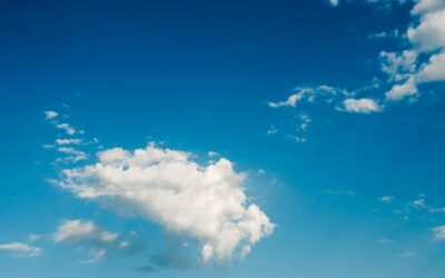 Défi Nature Jour 20 : la tête dans les nuages